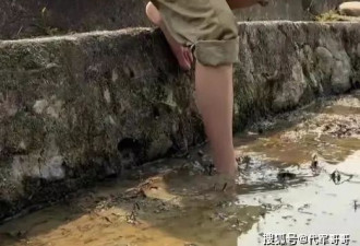 49岁麦家琪近况曝光，回农村光脚抛秧苗