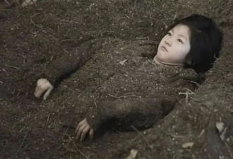 金赛纶死后，这个世界才开始爱她