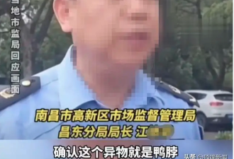 “指鼠为鸭”的局长，还升官了？
