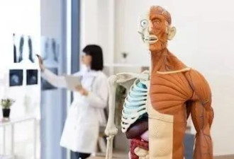 科学家想创造“活着的尸体”？！不会思考不会痛 可当人类零件 但….