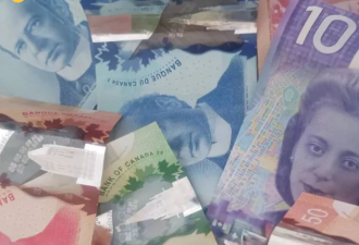 "每年省$1100"!加拿大明天取消碳税!油价、天然气账单齐"跳水"!