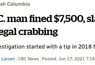 BC省列治文大妈挖生蚝被罚$5000+禁渔1年