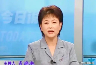 央视主持肖晓琳在美国儿子家死去 留下26字遗言