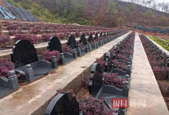 福建长汀县半山腰上现数百个违规墓穴：违建不止一处