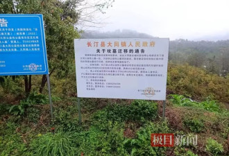 福建长汀县半山腰上现数百个违规墓穴：违建不止一处