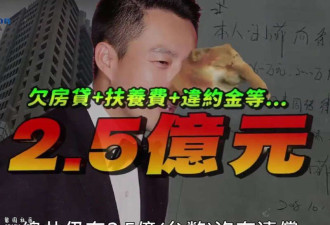 S妈索要750万被法院驳回 发文思念大S被骂炒作