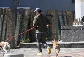 经纪人否认彭于晏新恋情：只是帮忙遛狗的朋友