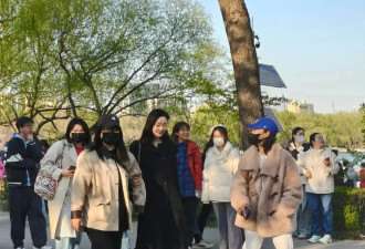 宋轶玉渊潭看花被偶遇，路人镜头下的她肤白貌美大长腿确实很漂亮