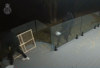 约克区4名匪徒砸破后院门闯入住宅！与住户扭打，连开4枪！