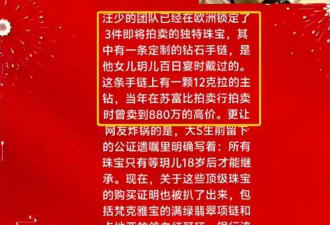 大S珠宝在国外拍卖 汪小菲矛头对准两人