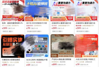 3年赚1.75亿!卖课,才是中国AI最容易赚钱的生意