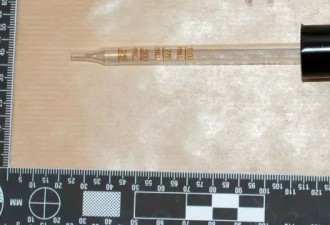 伦敦中国博士生下药强奸:再有23名女性指控邹振豪