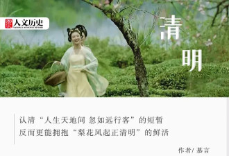 哀思还是重生：清明扫墓为什么要带柳枝？