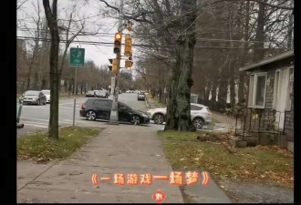 63岁王杰隐居加拿大小城 头发花白 过普通人生活