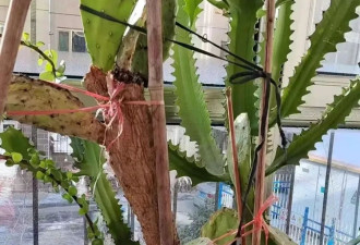 她的QQ空间，我的电子墓地