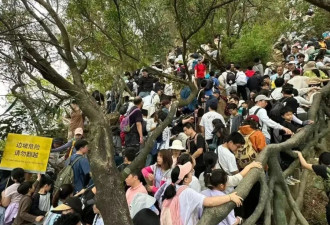 约满、限流！有景点挤出了"推背感",多地紧急提醒