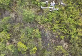 盘点清明祭祖7大"名场面":无人机上山,涉水上小岛
