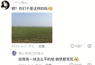 华南F3“上天入地” 硬核祭祖季又来了