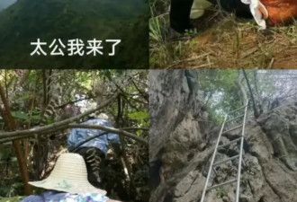 为了找祖坟，多少人被逼成摸金校尉....