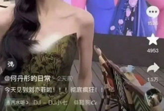 故意拍丑刘亦菲？千万粉丝网红回应：我很委屈