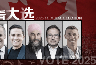 2025联邦大选：各党派华裔候选人背景扫描