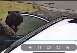 万锦这个小偷多次被抓屡屡被揍：很多华人网友都认识他