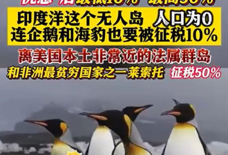 “特朗普和经济学家必须‘死’一个”