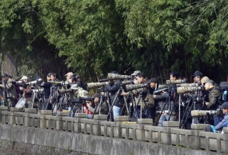 从90岁大爷到小学生,李现带火的"打鸟",装备万元起
