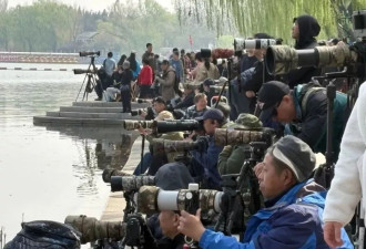 从90岁大爷到小学生,李现带火的"打鸟",装备万元起