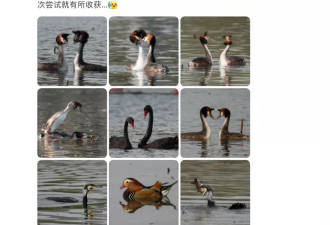 从90岁大爷到小学生,李现带火的"打鸟",装备万元起