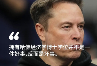 马斯克和特朗普政府首席贸易顾问纳瓦罗互怼