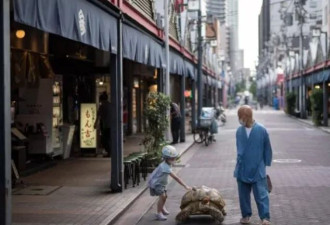 72岁日本老爷带巨龟上街散步 像极了吉卜力电影