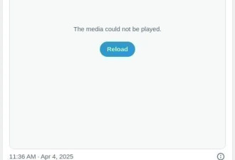 心碎！大温受伤狗狗被扔垃圾箱 小心被控罪