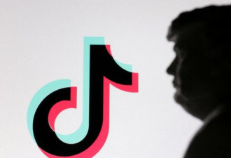 川普：若不是关税，北京早已同意TikTok交易
