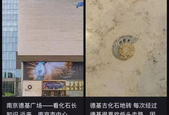 力压北京SKP，全国最赚钱的商场不在北上广