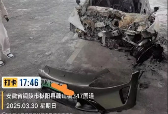 “我曾信任系统，直到它操控着车撞向石墩”