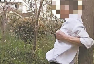 老人冲公园疯“撞树锻炼”…医揭致命风险