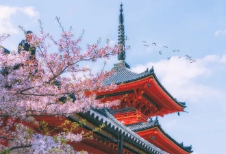 投资千万，在日本买寺庙的中国人后悔了