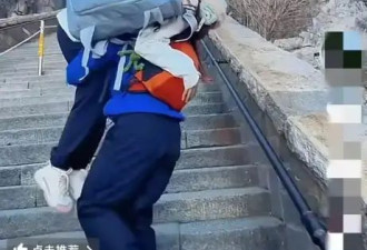 小伙泰山陪爬年入30万？当事人回应：已考虑退出