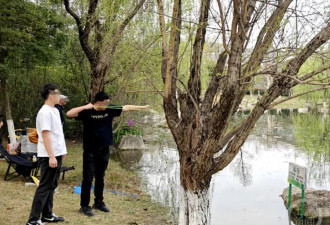 打死西湖鸳鸯的人已找到,为何总有人跟鸟过不去？
