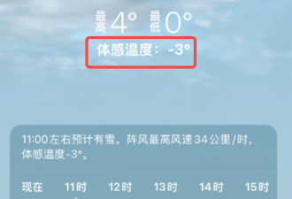 多伦多"全民出动"捡漏便宜货!华人寒风苦等2小时!长队铺满停车场!