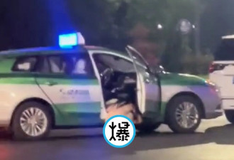正妹尿急叫计程车停路中央 就地解放酿交通阻塞