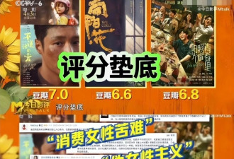 赵丽颖的《向阳·花》被央视点评批评，言辞犀利