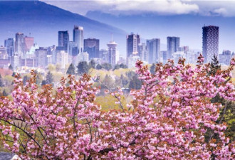 春意绽放 共赴BC省山海画卷