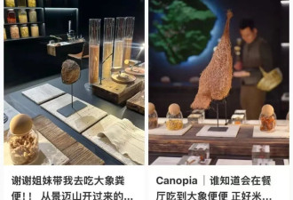 已立案！人均3888元的上海餐厅,用大象粪便做甜品