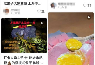 已立案！人均3888元的上海餐厅,用大象粪便做甜品