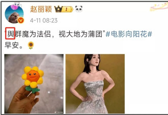 赵丽颖又打错字了！屡屡陷入文盲争议