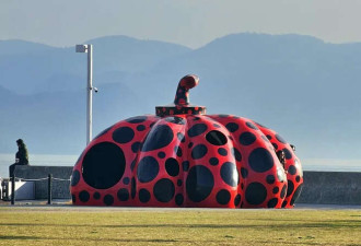 “我是日本旅行社 不想服务廉价中国客人了”