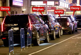 梅根到百老汇租了四辆SUV“护驾” 连狗仔队都嫌她过分