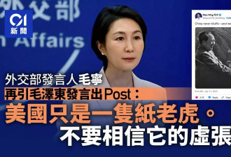 毛宁再发"毛主席语录"并翻成英文:美国一戳就爆！